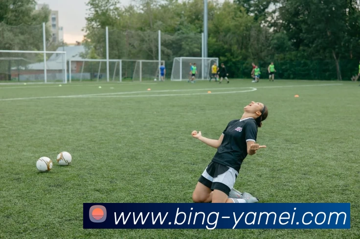 亚美体育平台生态图