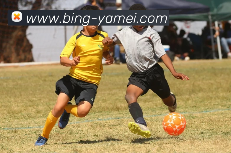 亚美体育全站App